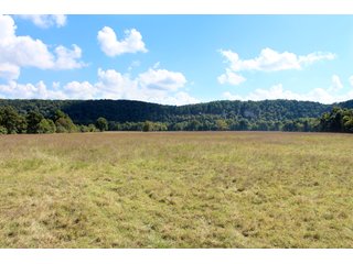 Property photo 52 - LAND AUCTION - 354+/- ACRES OFFERED IN 8 TRACTS IN CHEROKEE CO., OK